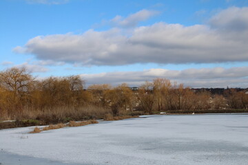 A snowy field with trees and a cloudy sky
