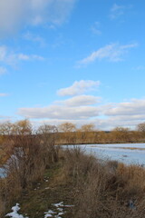 A river with trees and grass