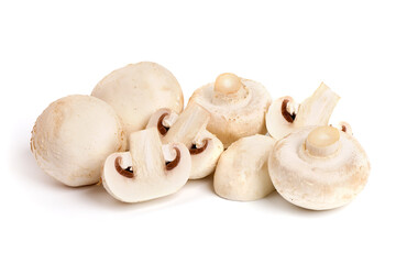 Champignons, isolated on white background.