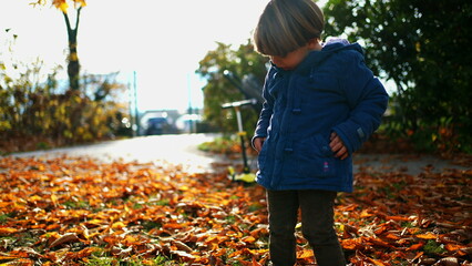 Cute small 4 year old boy standing outside at park during fall autumn day - child wearing blue jacket amidst orange leafs