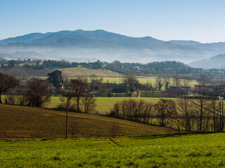 Obraz premium Italia, Toscana, zona del Mugello, Vicchio del Mugello. trekking nella campagna.
