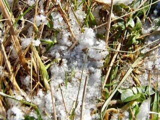 Der wurmberg im Winter