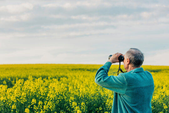 Senior man looking through binoculars in rapeseed field