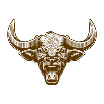 angry bull head with old engraving style