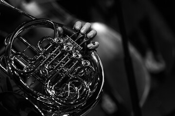 Fragment of a french horn in the hands of a musician in black and white
