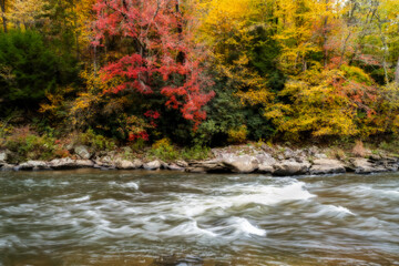 Obraz na płótnie Canvas Fall colors along Big Sandy River