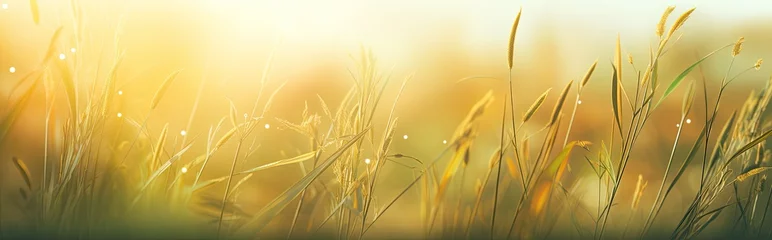 Gardinen A picturesque landscape unfolds as the summer sun showers the green grass with a radiant golden glow. © Murda
