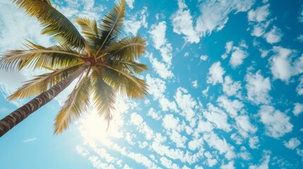 Low angle view of coconut palm tree against cloud and blue sky