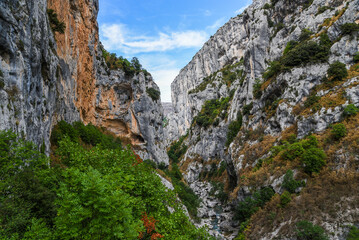 Beautiful landscape in the Verdon Canyon in France. Rocks and trees in the Verdon canyon.