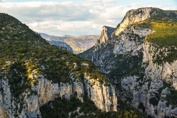 Beautiful landscape in the Verdon Canyon in France. Rocks and trees in the Verdon canyon.