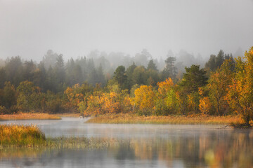 Beautiful summer landscape with the fog and river lit with a sunrise