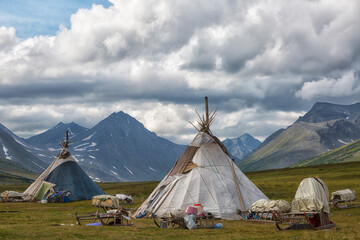 Nenets reindeer herders choom on a summer