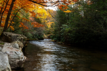 Fall scenes along Bear Creek on nice day