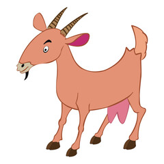 A goat farm animal isolated on white background