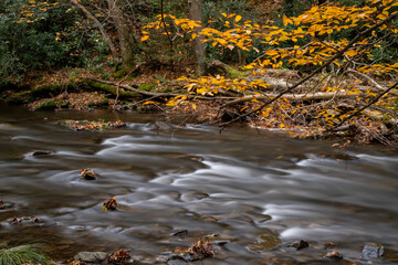 Obraz na płótnie Canvas Moving water on small stream in the Fall