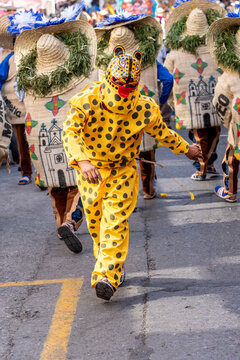 tiger character dance of the tlacololeros in pendon in chilpancingo mexico