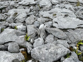 Karst rock in the beautiful Burren National Park in County Clare - Ireland