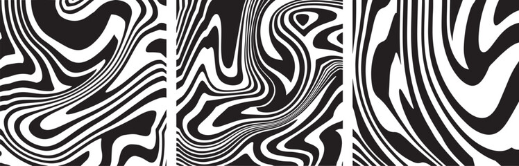 Abstract black and white zebra texture. Texture for printing on fabric, flyer, banner, poster. Black and white pattern. A set of textures for paintings. Vector drawing design elements.