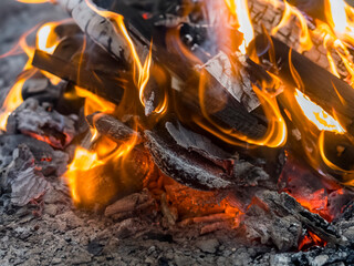 A close up of the a flame wood in bonfire. camp barbecue wood charcoal. wood that burns in the grill. blaze fire flame texture background. Tongues of flame. burning wooden logs and large orange flame