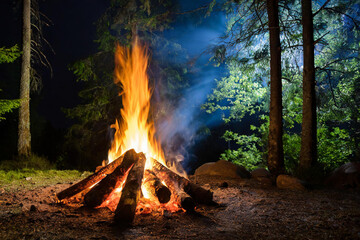 Burning campfire on a dark night in a forest. The bonfire burns in the forest. camp fire in the...