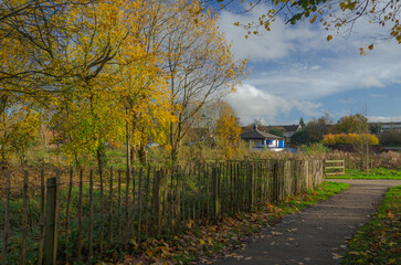 autumn in the park