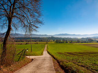 Fototapeta na wymiar Italia, Toscana, zona del Mugello, Vicchio del Mugello. trekking nella campagna.