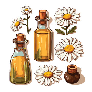 Hand drawn set of essential oils. Vector colored