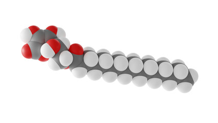 ascorbyl palmitate molecule, ester, molecular structure, isolated 3d model van der Waals
