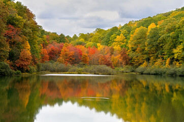 Fototapeta premium Fall colors around the pond