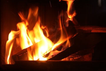 Bonfire with burning firewood on dark background