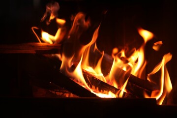Bonfire with burning firewood on dark background