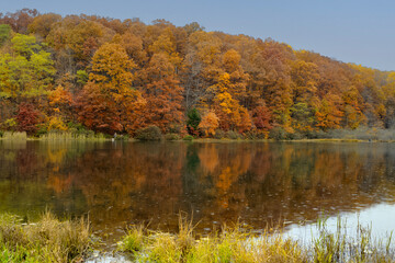 Fototapeta premium Fall color in pond at Coopers Rock