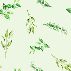 Watercolor seamless pattern with aromatic herbs. Illustrations of fresh rosemary, mint, sage isolated on background. Detail of beauty products and botany set, cosmetology and medicine. For design