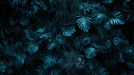 Isolated tropical leaves 