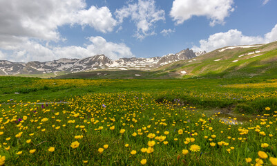 Berçelan plateau snowy mountain landscape and blooming ground, Hakkari, Turkey
