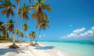 Photo sur Plexiglas Zanzibar Beautiful tranquil empty bright white paradise sand beach,  palm trees, and  turquoise water in Zanzibar