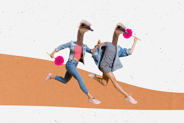 Creative collage picture illustration two headless absurd ostrich runner fast girl mask hide face...