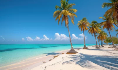 Rolgordijnen Beautiful tranquil empty bright white paradise sand beach,  palm trees, and  turquoise water in Zanzibar © STORYTELLER