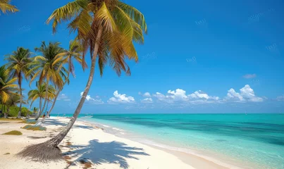 Poster Beautiful tranquil empty bright white paradise sand beach,  palm trees, and  turquoise water in Zanzibar © STORYTELLER