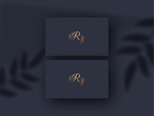 Rz logo design vector image