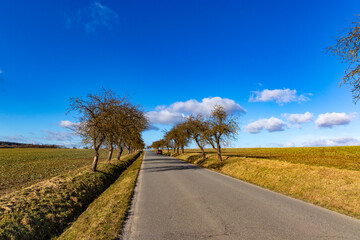 Fototapeta premium Road in the European countryside. Early spring