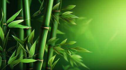 Green bamboo plant in tropical rainforest of Asia, with green leaves growing abundantly. Nature oriental background wallpaper.