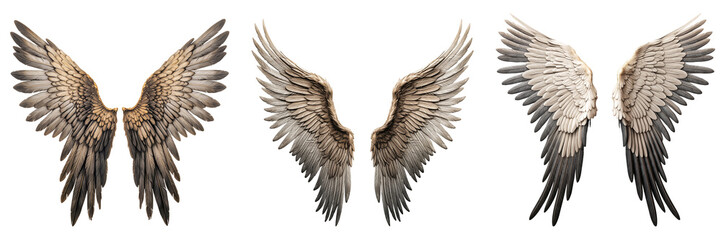 Set of white wings isolated on a transparent background. Close-up of wings overlay. An element to be inserted into a design or project.