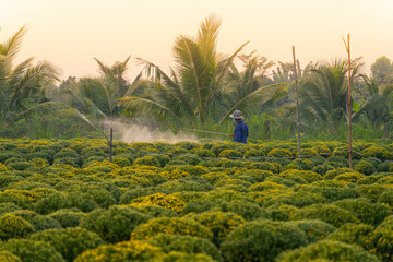 view of Sa Dec flower garden in Dong Thap province, Vietnam. It's famous in Mekong Delta, preparing...