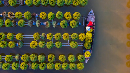 Aerial view of Sa Dec flower garden in Dong Thap province, Vietnam. It's famous in Mekong Delta,...