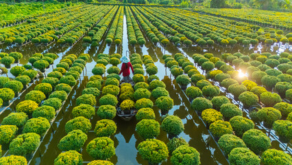 Aerial view of Sa Dec flower garden in Dong Thap province, Vietnam. It's famous in Mekong Delta,...