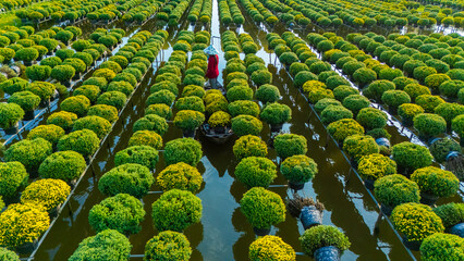 Aerial view of Sa Dec flower garden in Dong Thap province, Vietnam. It's famous in Mekong Delta,...