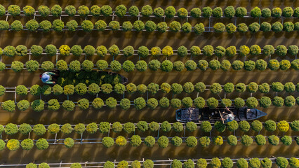 Aerial view of Sa Dec flower garden in Dong Thap province, Vietnam. It's famous in Mekong Delta, preparing transport flowers to the market for sale in Tet holiday.