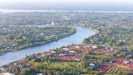 Fototapeta premium Aerial view of Cho Lach flower garden in Ben Tre, Vietnam. It's famous in Mekong Delta, preparing transport flowers to the market for sale in Tet holiday