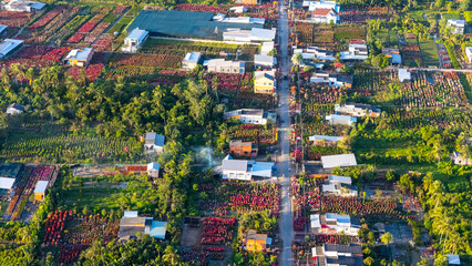 Aerial view of Cho Lach flower garden in Ben Tre, Vietnam. It's famous in Mekong Delta, preparing...